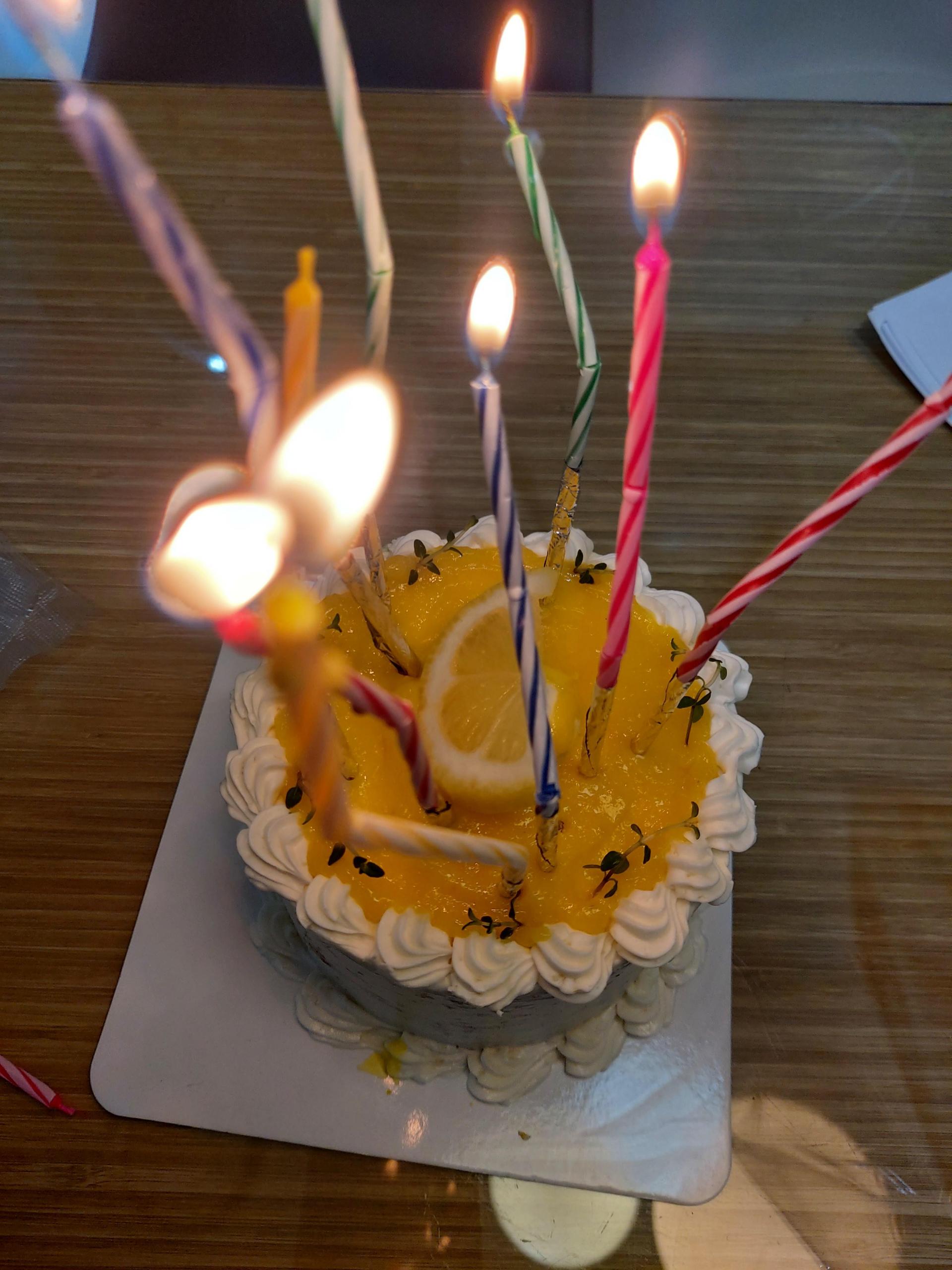 3/26 서울튼튼이치과의원 원장님의 생축 !! 관련 사진